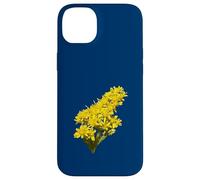 Illustration vectorielle botanique de Solidago Gigantea Wildflower Coque pour iPhone 14 Plus