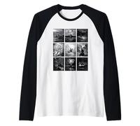 Illustrations de Don Quichotte par Gustave Dore Manche Raglan
