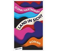 Ilona Hartmann Land in Sicht: Roman (Poche)