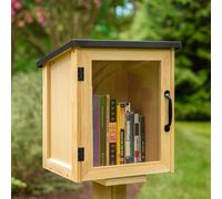 Ilyapa Boîte à livres d'extérieur pour bibliothèque - Kit d'échange de littérature gratuit pour l'extérieur - Petite armoire en bois pour partager des livres et des arts - 33 x 28 x 40,6 cm