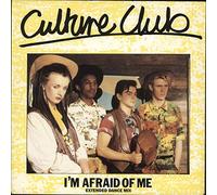 I'm Afraid Of Me