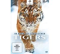 - - Im Bann des Sibirischen Tigers