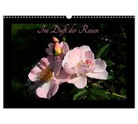 Im Duft der Rosen (Wandkalender 2026 DIN A3 quer), CALVENDO Monatskalender: Rosensommer - Sommerduft