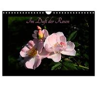 Im Duft der Rosen (Wandkalender 2026 DIN A4 quer), CALVENDO Monatskalender: Rosensommer - Sommerduft