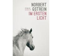 Im ersten Licht: Roman
