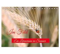 Im Feld (Tischkalender 2026 DIN A5 quer), CALVENDO Monatskalender: Das Feld im Sommer ist ein Lebensraum für viele Tiere und Pflanzen.