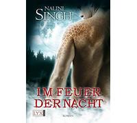 Im Feuer der Nacht