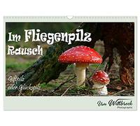 Im Fliegenpilz Rausch (Wandkalender 2026 DIN A3 quer), CALVENDO Monatskalender: Fliegenpilz ist Giftpilz und Glückspilz