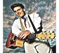 I'm Gonna Be Your Hero