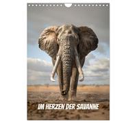 Im Herzen der Savanne (Wandkalender 2026 DIN A4 hoch), CALVENDO Monatskalender: Eine tierische Reise durch die Wildnis Afrikas