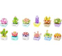iM.Master Klocki KOCO pot de fleurs pour succulentes mix 12 modèles 01001-12