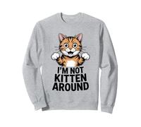 I'm Not Kitten Around Cat Lover Feline Pet Meow Love Cats Sweatshirt