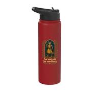 I'm Not Old I'm Medieval Cat Knight Funny Fantasy Medieval Stainless Steel Insulated Water Bottle