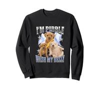 I'm Pibble Funny Gen Z Brainrot Y2K Humour Raunchy Trend Meme Sweatshirt