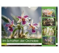 Im Schatten der Orchidee (Wandkalender 2026 DIN A3 quer), CALVENDO Monatskalender: Versteckt in den stillen Winkeln tropischer Wälder und ... Orchidee, zart und zugleich voller Rätsel.