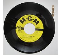 I'm Sorry I Made You Cry/Lock Up Your Heart (VG 45 rpm)