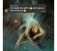 I'M Totally Fine With It Don'T Give a Fuck Anymore – Rough Trade Distribution GmbH