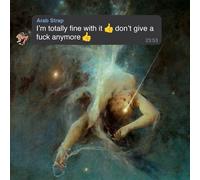 I'M Totally Fine With It Don'T Give a Fuck Anymore – Rough Trade Distribution GmbH
