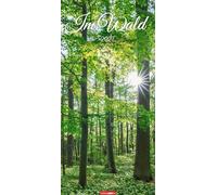 Im Wald Kalender 2027: Die heimischen Wälder in faszinierenden Fotos dargestellt in einem XL Kalender. Bäume und Co. in einem länglichen Kalender. 33 x 68 cm Hochformat