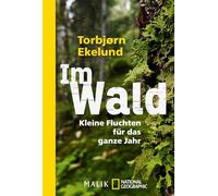 Im Wald: Kleine Fluchten für das ganze Jahr