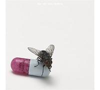 I'm With You CD
