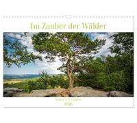 Im Zauber der Wälder (Wandkalender 2026 DIN A3 quer), CALVENDO Monatskalender: Zauberhafte Wälder Mitteleuropas