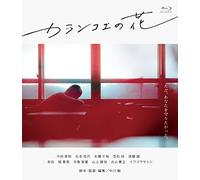 Imada Mio-Kalanchoe No Hana [Edizione: Giappone] [Blu-Ray] [Import]