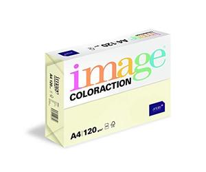 IMAGE Coloraction 838A 120S 2 Antalis Papier couleur A4 120 g/m² Ivoire/2 (Import Allemagne)