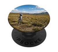 Image mystérieuse de Rencontre à Distance en Champ Ouvert avec Une Figurine Extraterrestre PopSockets PopGrip Adhésif