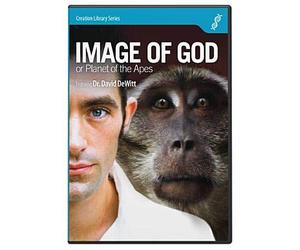 Image of God or Planet of the Apes?