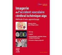 Imagerie de l'accident vasculaire cérébral ischémique aigu: Méthode d'auto-apprentissage