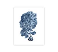 Images décoratives sur toile avec motif d'algues bleu indigo, affiches et impressions sur toile pour salon