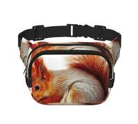 Images d'écureuil imprimées,Sac Banane carré Double Couche, Sac de Poitrine