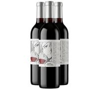 Images Dérisoires - Rouge 2021 - Domaine du Clos des Fées - Côtes Catalanes - Vin Rouge du Languedoc - Roussillon (3x75cl)