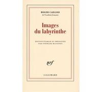 Roger Caillois – Images du labyrinthe – édité par Stéphane Massonet – Gallimard, broché