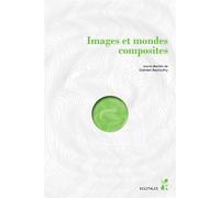 Images et mondes composites - Damien Beyrouthy - Publication Universite Provence - broché - Etude