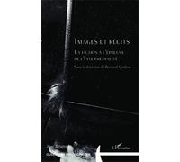 Images et récits La fiction à l'épreuve de l'intermédialité - Bernard Guelton - L'harmattan - broché - Essai