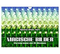 Images magiques - stéréogrammes et illusions 3D, Version française (Calendrier mural 2026 DIN A4 portrait), Calendrier CALVENDO mensuel