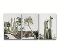 Images Murales-Tableau Toile Imprimé Représentant Cactus Vert Palmier et Paysage Désertique Art Moderne Floral et Botanique la Décoration de la Chambre Ou de la Cuisine-30*50cm*3PCS (Non encadré)