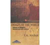 Images Of The World: Essays On Religion, Secularism, And Culture