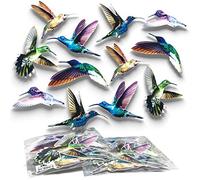Imaggge.com - 12x - Oiseaux - Autocollants électrostatiques repositionnables - Contre impacts et collisions d'oiseaux aux vitres des fenêtres - Impression haute résolution - Waterproof