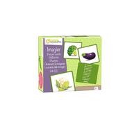 Avenue Mandarine – Imagier des légumes – 24 cartes multilingues (10 langues) – Dès 2 ans