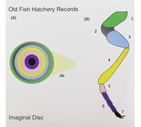 Imaginal Disc