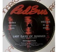 Imagination - Last Days Of Summer / Shoo Be Doo Da Dabba Doobee [Vinyl Single]