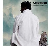 Imagination & The Misfit Kid Vinyle