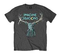 Imagine Dragons - T-shirt - Manches courtes Homme, Gris (Grey), Medium