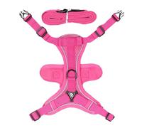 IMBARATION DU CHAT ET ENSEMBLE POUR WACKING - OUTFIT SÉCURITÉ DE CHANGE, Utilisez largement le gilet pour le corps à mailles souples | IMBARATION DE SÉCURITÉ REFRAISE POUR CHIENS DE CHIEN ALC