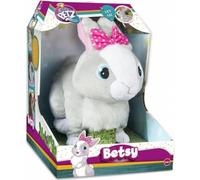 IMC Betsy Lapin