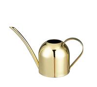 IMEEA 450ml Mini arrosoir en Acier Inoxydable brossé arrosoir pour Plantesde Bureau au Bureau(Doré)