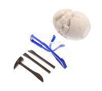 IMIKEYA 1 Ensemble du Modèle Fossile D'os De Dinosaure Jouets D'éveil Petit à Creuser Petit d'apprentissage Accessoire d'enfants d'apprentissage Intéressant Résine